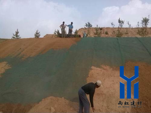 三維植被網(wǎng)http://www.szfdfm.cn/